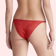 Exclusive French Daina Lace Tanga Panties Luxury Gift Box