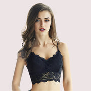 2 pack french fashion padded lace bralette